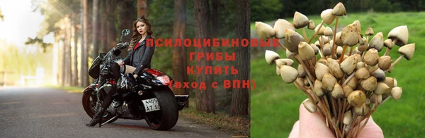 синтетический гашиш Михайловск