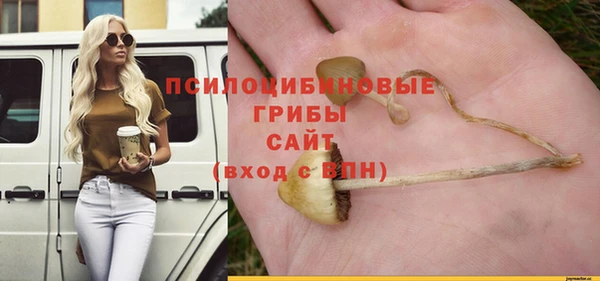 a pvp Михайлов